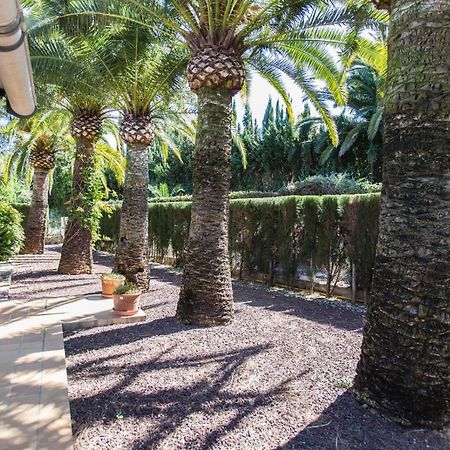 Finca Pepe 2 Hotel Denia Bagian luar foto